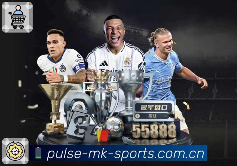 赛中解说与提示